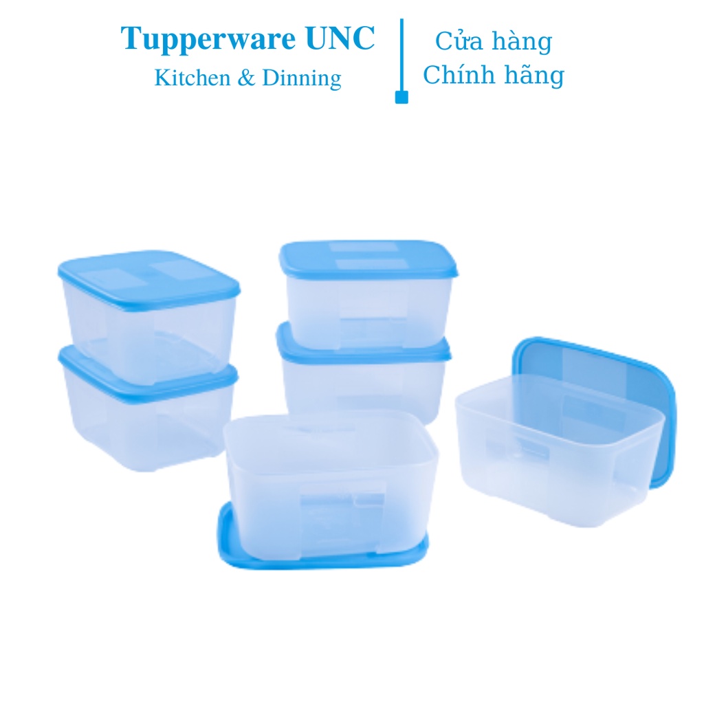 Bộ hộp trữ đông Tupperware Basic Set 650ml (6 Hộp)