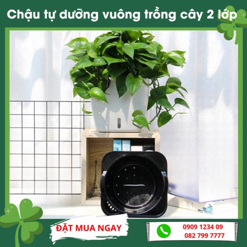 Chậu tự dưỡng vuông trồng cây 2 lớp (Green City)