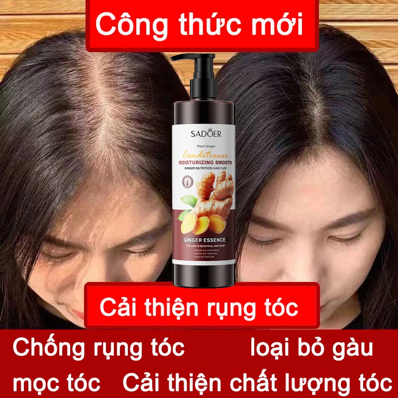 Dầu gội trị rụng tóc dầu gội gừng và mọc tóc 500ml dầu dưỡng tóc Dầu gội bồ kết ngăn rụng sạch gàu mọc tóc