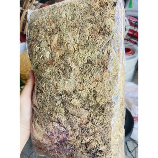 Dớn trắng chile - gói 100g