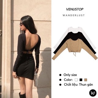 Áo Croptop Venus tay dài hở lưng 3 màu