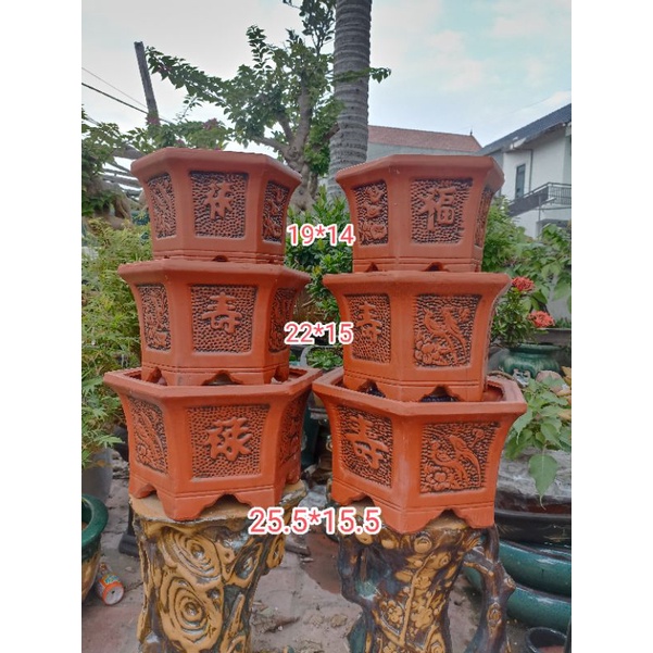 bộ 3 chậu lục giác bonsai