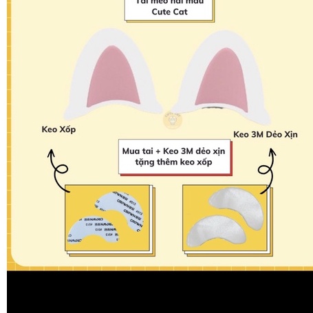 Tai mèo gắn nón nửa đầu ,nón 3/4 và tất cả loai nón