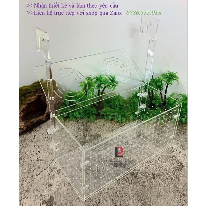 Box dưỡng tép - cá acrylic kẻ vạch cao cấp