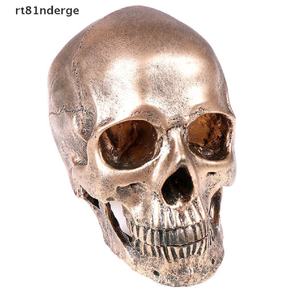 Mô Hình Đầu Lâu Bằng Nhựa Resin Đồng Tỉ Lệ 1: 1 Trang Trí Halloween