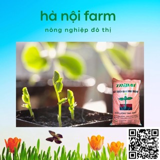 1kg đất tribat trồng rau