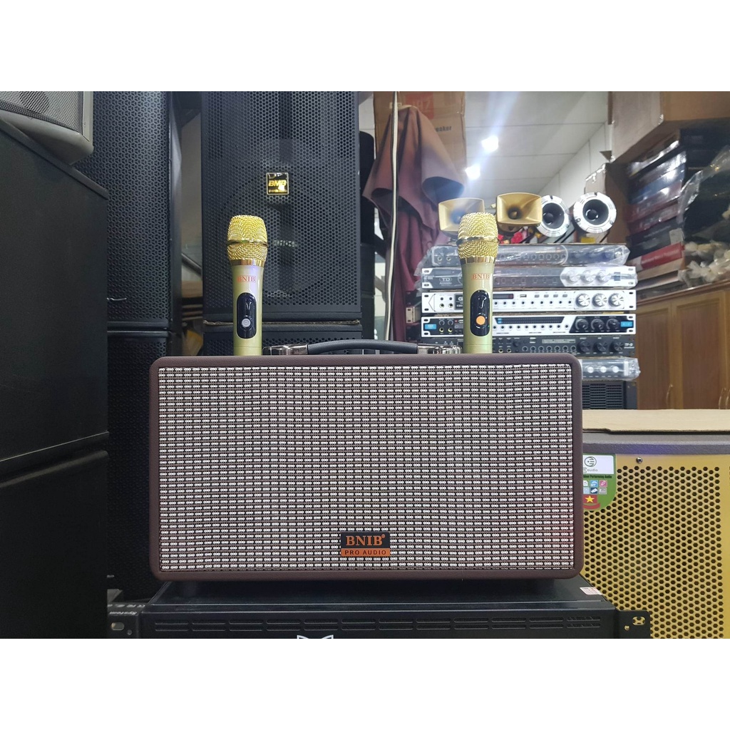 Loa xách tay Karaoke Bluetooth BNIB BN-116: Bass 16, 3 loa, Vỏ da bọc gỗ, Âm thanh chất lượng, Kèm 2