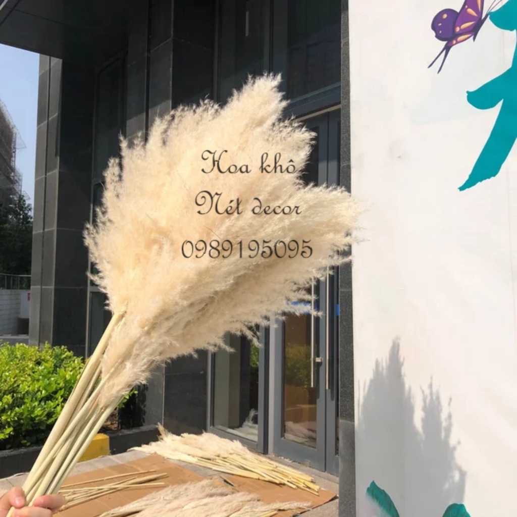 🌸 Cành Lau xù size lớn decor trang trí 🌸 Cành Lau xù cao dài hàng đẹp