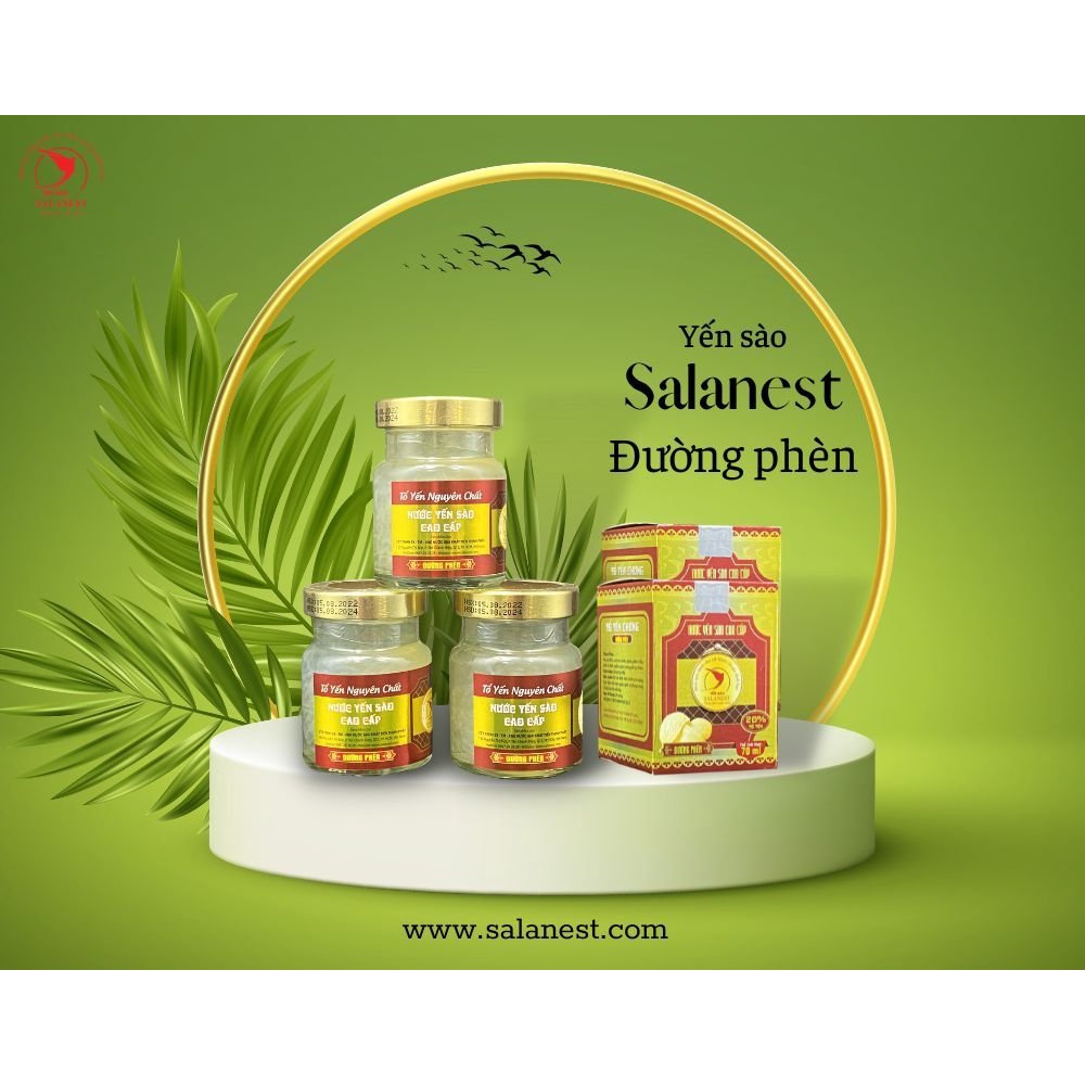 Set 03 Hủ - Nước Yến Sào Salanest chưng đường phèn 20% yến tươi
