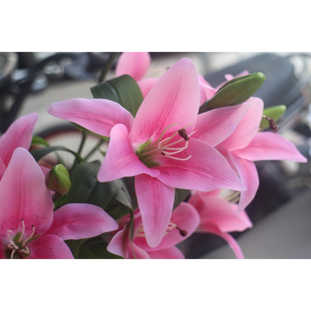 Hoa ly cành 9 bông 3 nụ- chất liệu cao su- Hoa giả mà như thật