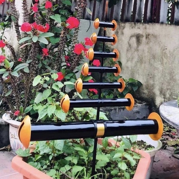 Sáo Diều ,Âm Chuông Và Còi Vắt & Hàng Nét Âm Hay