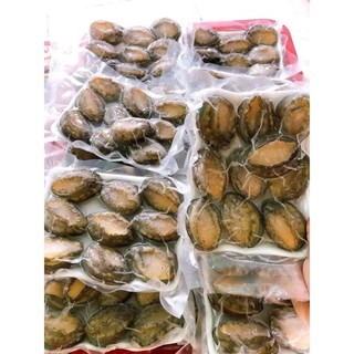 Bào ngư 🦪khay 500g 10 con.