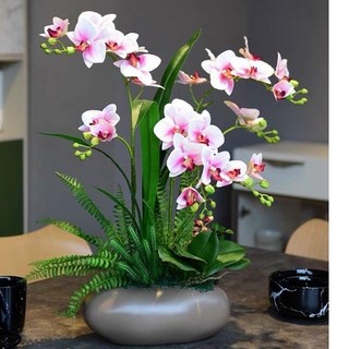 Hoa giả/Cành lan cao su 2 nhánh 3D giống thật