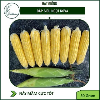 Hạt giống ngô siêu ngọt nova 50 gram