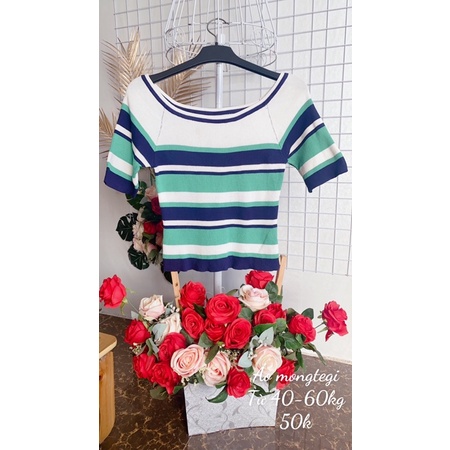 Áo len mongtegi kiểu