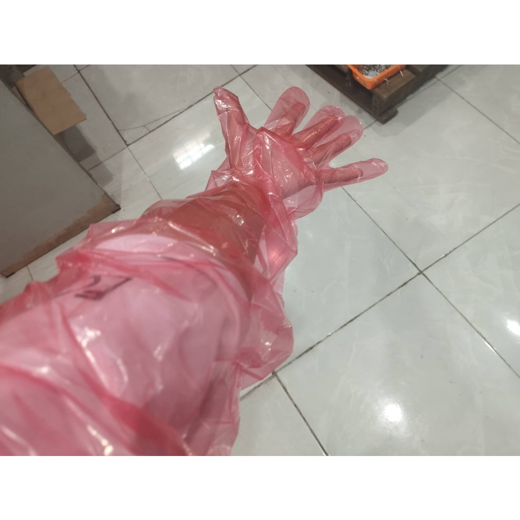 Găng tay gieo tinh nhân tạo bò - Trung Quốc