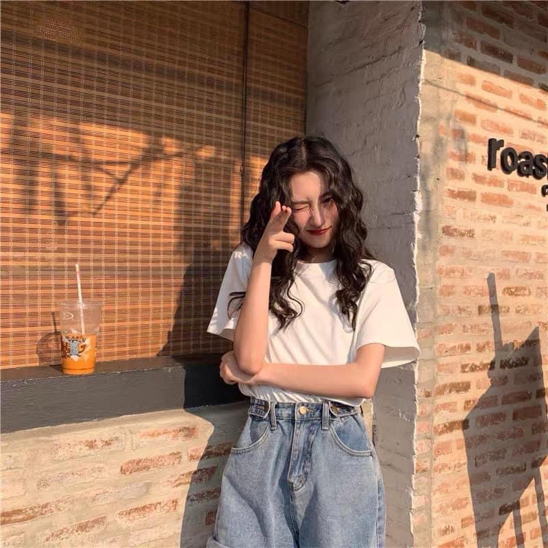 Áo thun trơn cotton