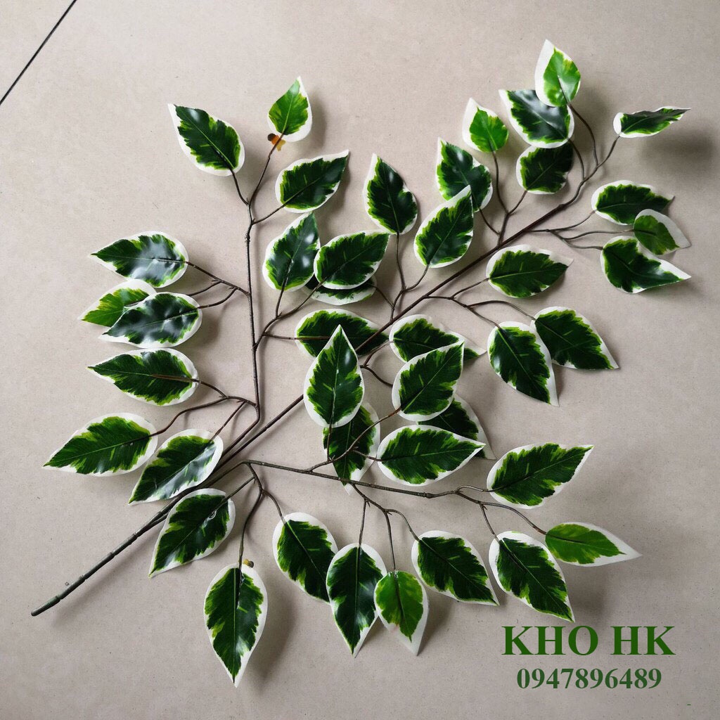[100 cành] Cành Lá Si xanh giả, Làm Cây Giả lá xi sanh viền trắng trang trí Cực Đẹp