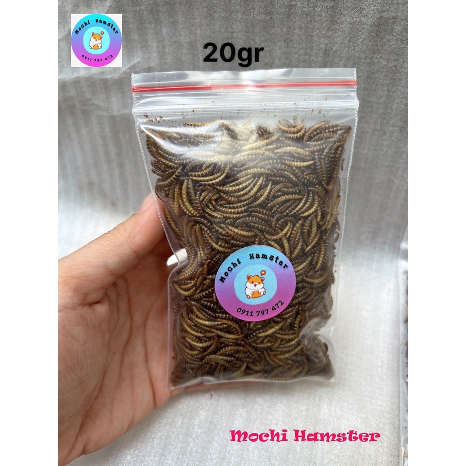 Sâu gạo, sâu mini cho hamster