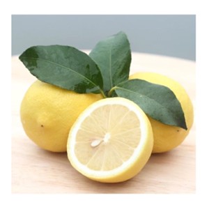 Chanh vàng nhập khẩu từ Mỹ 1kg (khoảng 6 quả)