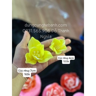 khuôn Silicone hoa cúc B39