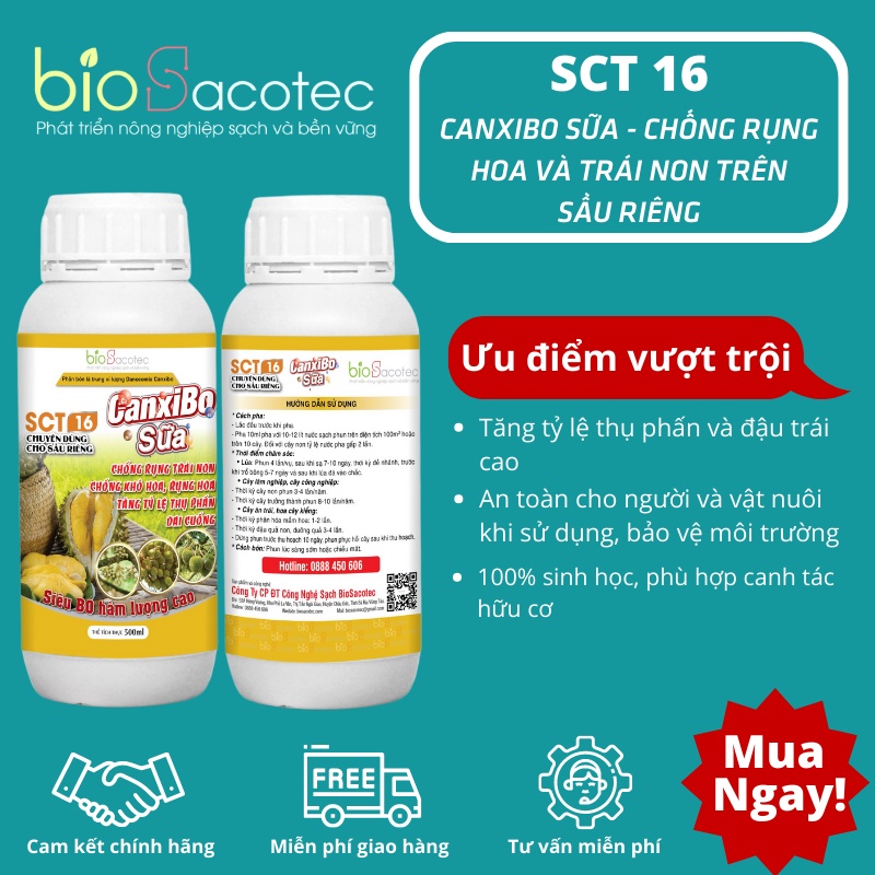 SCT 16 CanxiBo Sữa – Chống rụng hoa và trái non trên sầu riêng