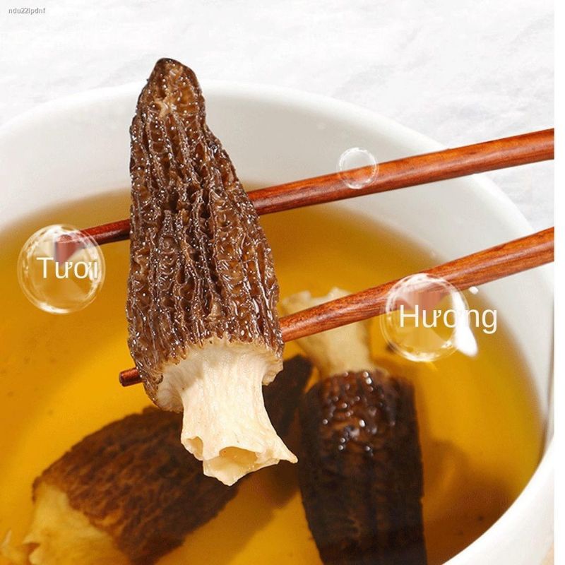 Nấm bụng dê 💎Nấm quý hiếm💎