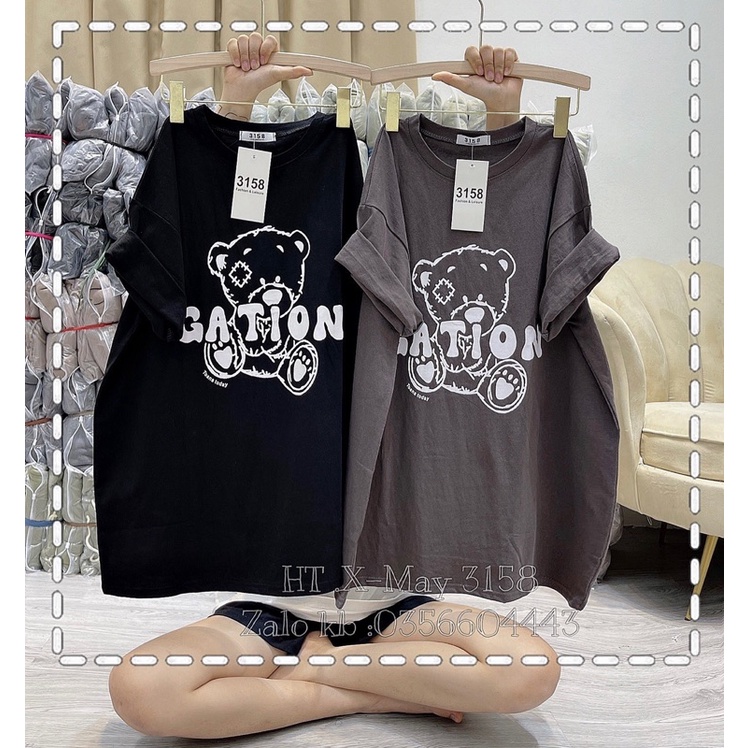 Áo phông gấu GATION DA6