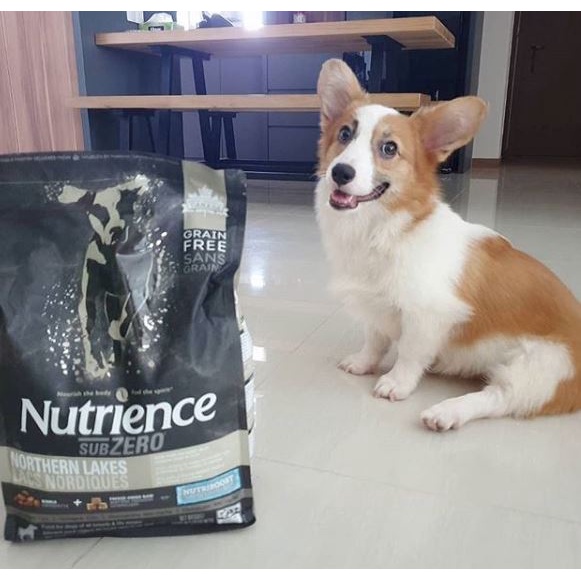 Thức Ăn Hạt Cho Chó Corgi - Da Lông Bóng Mượt Nutrience Subzero Bao 500g - Thịt Gà, Cá Hồi Rau Củ, Trái Cây