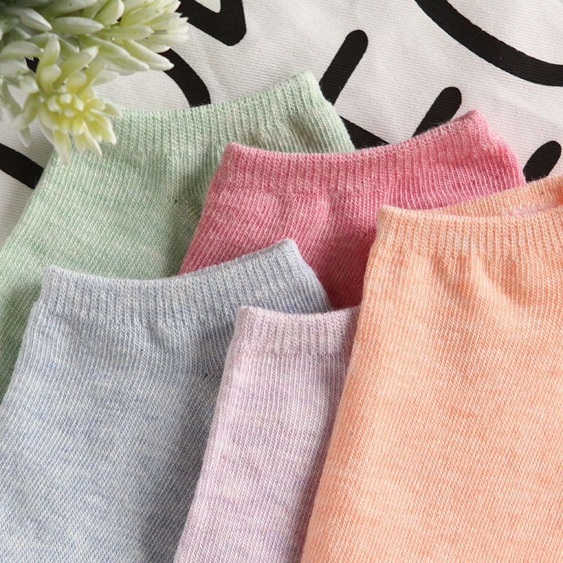 [❌BÁN SỈ❌ ]Tất nữ cổ ngắn basic cotton trơn nhiều màu đơn giản 88157