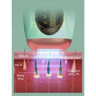 máy triệt lông