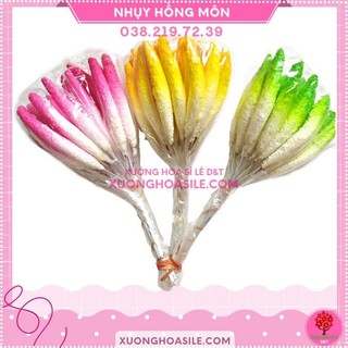 NHỊ HỒNG MÔN LÀM HOA