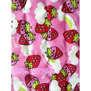 Nệm nước mát chống thấm Ngọc Thảo (60 x 90cm)