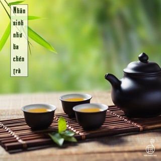 TRÀ TIÊN TRƯỜNG NIÊN (Lá trà tiên, lá trà bancha)