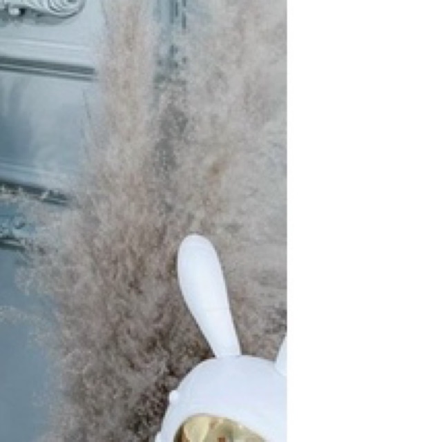 Áo Thun Tay Ngắn Croptop Gấu Dâu Hoạt Hình Cực Căng Đét