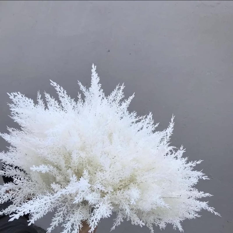 Cành tuyết trắng giả 6 nhánh-màu trắng dùng cắm bình hoặc trang trí sân khấu tuyệt đẹp