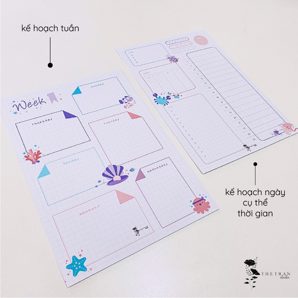 Bộ 4 tờ ghi chú kế hoạch hàng ngày tuần tháng A5 chủ đề đại dương / ocean planner / thetranstudio