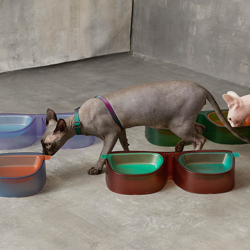 HamshMoc Bát Đôi 3 Trong 1 Dành Cho Thú Cưng # 15° Tô Đựng Thức Ăn Nước Uống Chống Tràn Dành Cho Mèo Cưng