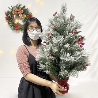 Cây thông Noel để bàn cao 38cm, 60cm, 75cm hàng công ty kèm phụ kiện trang trí - Trang trí Noel Giáng sinh