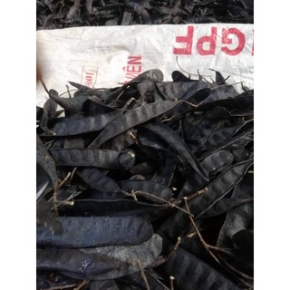 Quả bồ kết phơi khô 1 kg ( quả chín rụng cây)