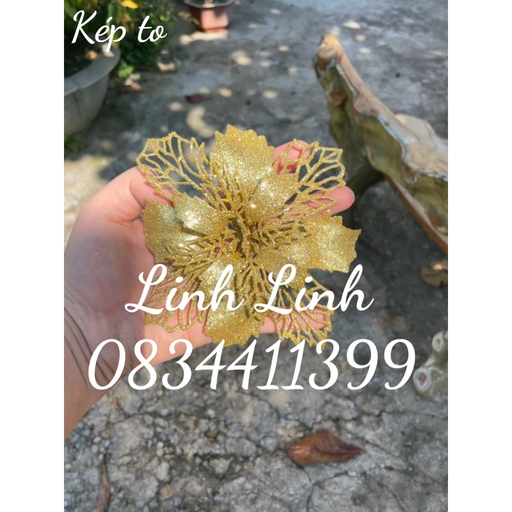 HOA KÉP TO 16cm