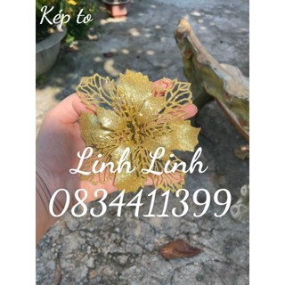 HOA KÉP TO 16cm