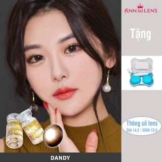 Lens cận màu nâu Dandy ANN365 dành cho mắt nhạy cảm chống tia UV dùng trong 12 tháng