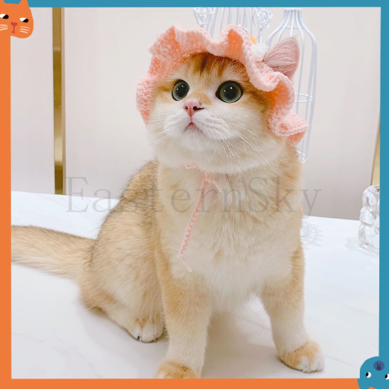 Nón Đội Đầu Dễ Thương Dành Cho Thú Cưng