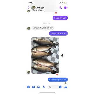 10 Loxo lăng xê không buộc lưỡi(size lớn)