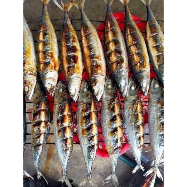 CÁ NỤC NƯỚNG THAN. 1KG