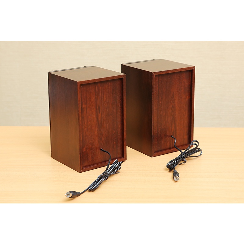 Loa vi tính Bluetooth Enkor S2850 Nâu