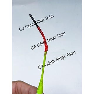 PHAO ĐŨA CÂU CÁ DÀI 15CM CÂU ĐƠN (1 CÁI)