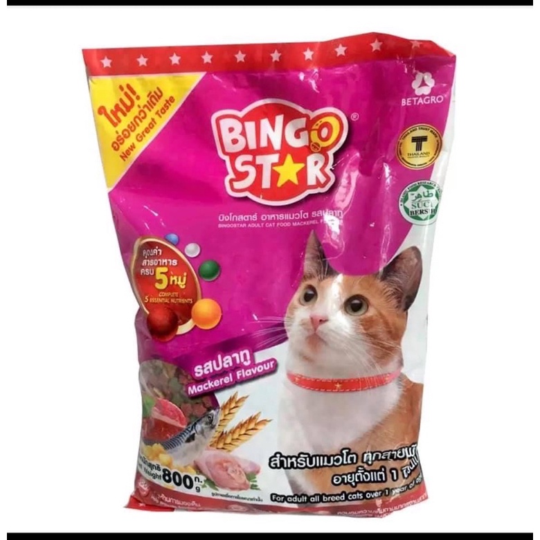 Bingostar cat 1kg Thailand