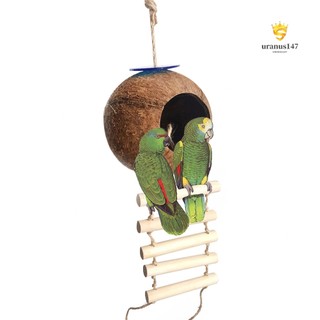 Tổ Chim Bằng Vỏ Dừa Độc Đáo